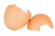 Photo of an broken egg shell