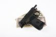 Pistol and dollars