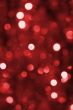 Holiday lights