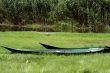 Old fishing boats on the shore