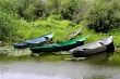 Several fishing boats on the shore