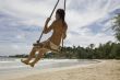 Girl on swing on the beach