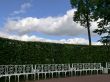 Bench, tree, clouds and blue sky.