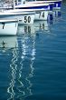 sailboats in marina before start of regatta