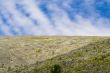 Sayan Mountains