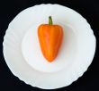 sweet pepper on a white plate