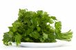 Green dill on a plate
