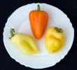 sweet pepper