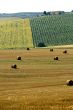 Farm in Italy