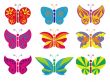 different butterflies