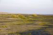 beach view of ameland during sunrise, the netherlands