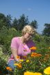 elderly woman is picking flowers