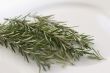 Rosemary