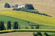 Marche - Farm