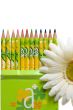 crayons in green box & flower