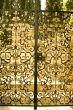 Gold Door.
