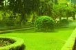 Garden.