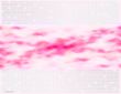 ripple red