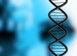 dna structure