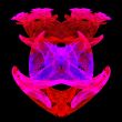 Fractal