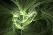 Fractal
