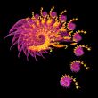 Fractal