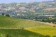 Marche - Landscape