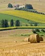 Italian farm
