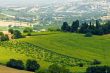 Marche - Landscape