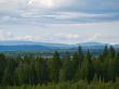 Wilderness forest and mountains