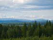 Wilderness forest and mountains