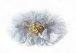 Garter and wedding rings
