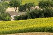 Farm near Ancona