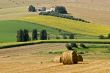 Italian farm