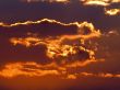 Golden Sunset