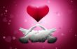 Two pigeons in love