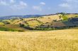 Marche - Landscape