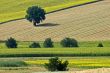 Marche - Landscape
