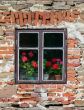Window with flowers