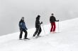 Skiers