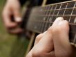 Guitarist