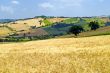 Marche - Landscape