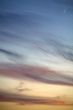 colored  evening sky with  cirrus clouds and the moon