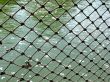 Rope Net