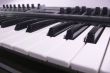 Midi keyboard close up. Piano roll.