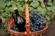 Bottle of wine and grapes in basket