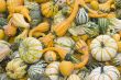 pumpkins