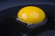 egg yolk