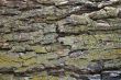 Photoshop Textures