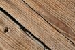Vintage Textures